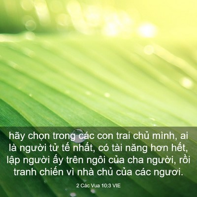 Picture 03 - 2 Các Vua 10:3 VIE - hãy chọn trong các con trai chủ mình, ai - Bible Verse Picture
