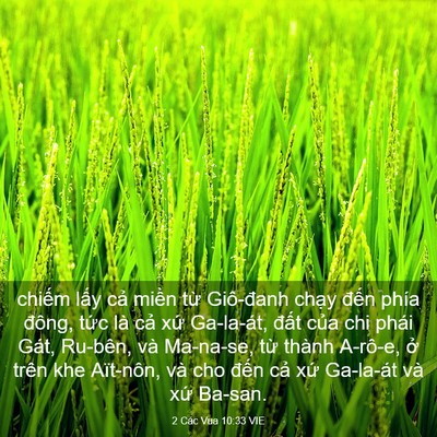 Picture 03 - 2 Các Vua 10:33 VIE - chiếm lấy cả miền từ Giô-đanh chạy - Bible Verse Picture