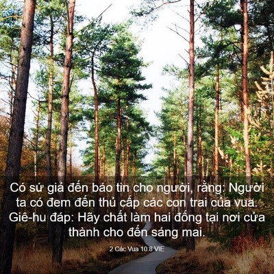 Picture 03 - 2 Các Vua 10:8 VIE - Có sứ giả đến báo tin cho người, - Bible Verse Picture