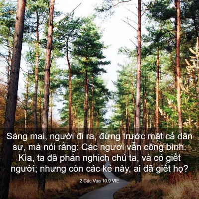 Picture 03 - 2 Các Vua 10:9 VIE - Sáng mai, người đi ra, đứng trước - Bible Verse Picture