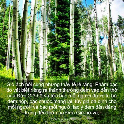 Picture 03 - 2 Các Vua 12:4 VIE - Giô-ách nói cùng những thầy tế lễ - Bible Verse Picture