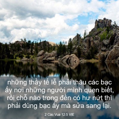 Picture 03 - 2 Các Vua 12:5 VIE - những thầy tế lễ phải thâu các bạc - Bible Verse Picture