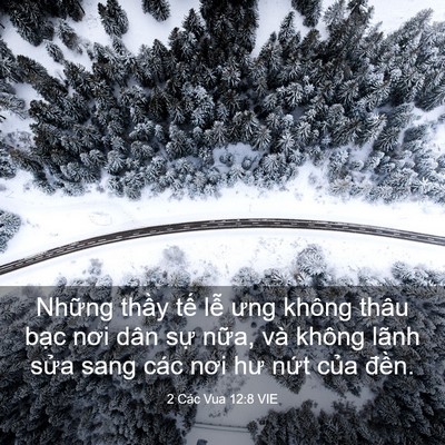 Picture 03 - 2 Các Vua 12:8 VIE - Những thầy tế lễ ưng không thâu bạc - Bible Verse Picture