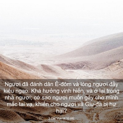 Picture 03 - 2 Các Vua 14:10 VIE - Ngươi đã đánh dân Ê-đôm và lòng - Bible Verse Picture