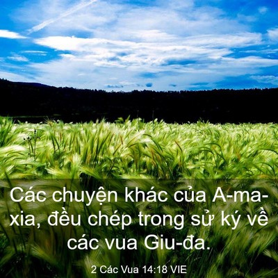 Picture 03 - 2 Các Vua 14:18 VIE - Các chuyện khác của A-ma-xia, đều chép - Bible Verse Picture