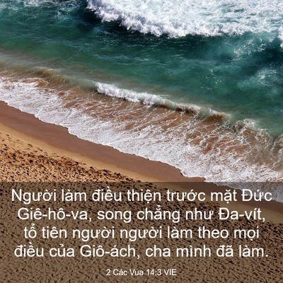 Picture 03 - 2 Các Vua 14:3 VIE - Người làm điều thiện trước mặt - Bible Verse Picture