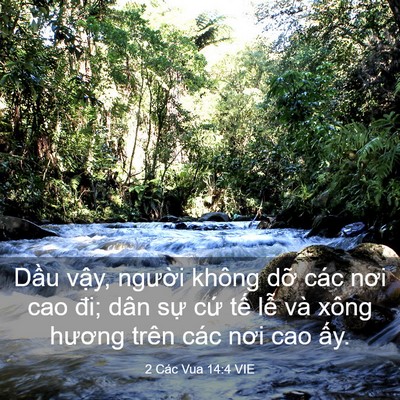 Picture 03 - 2 Các Vua 14:4 VIE - Dầu vậy, người không dỡ các nơi cao - Bible Verse Picture