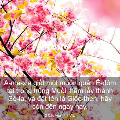 Picture 03 - 2 Các Vua 14:7 VIE - A-ma-xia giết một muôn quân Ê-đôm tại - Bible Verse Picture