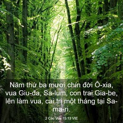 Picture 03 - 2 Các Vua 15:13 VIE - Năm thứ ba mươi chín đời Ô-xia, vua - Bible Verse Picture