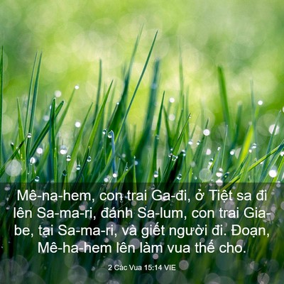 Picture 03 - 2 Các Vua 15:14 VIE - Mê-na-hem, con trai Ga-đi, ở Tiệt sa đi - Bible Verse Picture