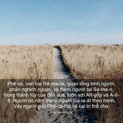 Picture 03 - 2 Các Vua 15:25 VIE - Phê-ca, con trai Rê-ma-lia, quan tổng binh - Bible Verse Picture