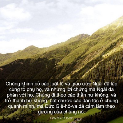 Picture 03 - 2 Các Vua 17:15 VIE - Chúng khinh bỏ các luật lệ và giao - Bible Verse Picture