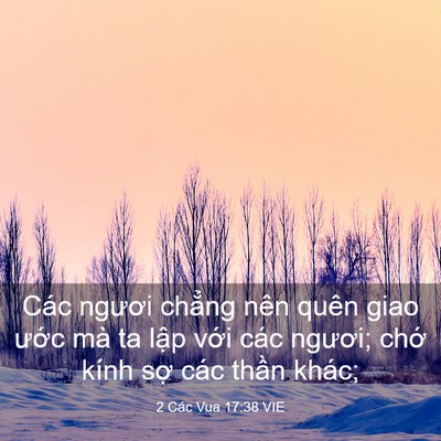 Picture 03 - 2 Các Vua 17:38 VIE - Các ngươi chẳng nên quên giao ước mà - Bible Verse Picture