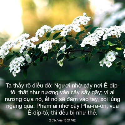 Picture 03 - 2 Các Vua 18:21 VIE - Ta thấy rõ điều đó: Ngươi nhờ cậy - Bible Verse Picture