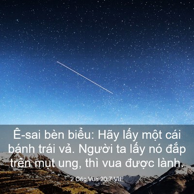 Picture 03 - 2 Các Vua 20:7 VIE - Ê-sai bèn biểu: Hãy lấy một cái bánh - Bible Verse Picture