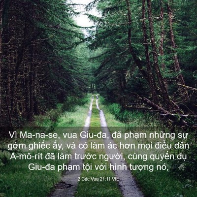 Picture 03 - 2 Các Vua 21:11 VIE - Vì Ma-na-se, vua Giu-đa, đã phạm những - Bible Verse Picture