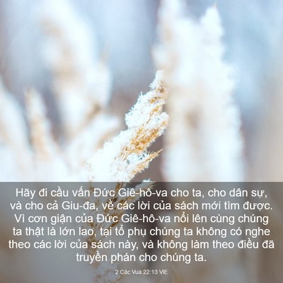 Picture 03 - 2 Các Vua 22:13 VIE - Hãy đi cầu vấn Đức Giê-hô-va cho ta, - Bible Verse Picture