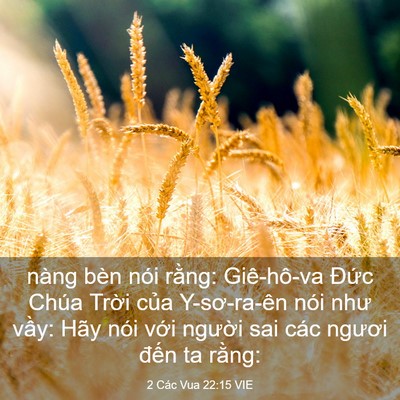 Picture 03 - 2 Các Vua 22:15 VIE - nàng bèn nói rằng: Giê-hô-va Đức Chúa - Bible Verse Picture