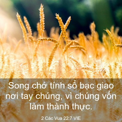 Picture 03 - 2 Các Vua 22:7 VIE - Song chớ tính sổ bạc giao nơi tay chúng, - Bible Verse Picture