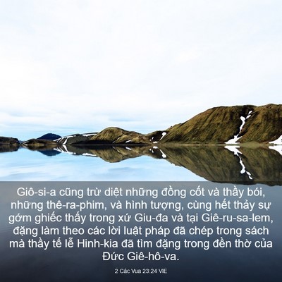 Picture 03 - 2 Các Vua 23:24 VIE - Giô-si-a cũng trừ diệt những đồng - Bible Verse Picture