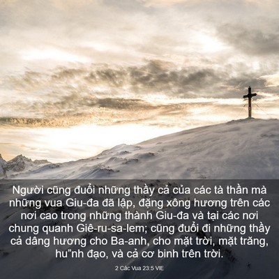 Picture 03 - 2 Các Vua 23:5 VIE - Người cũng đuổi những thầy cả của - Bible Verse Picture