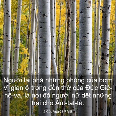 Picture 03 - 2 Các Vua 23:7 VIE - Người lại phá những phòng của bợm - Bible Verse Picture