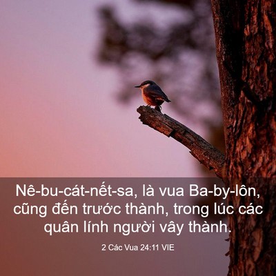 Picture 03 - 2 Các Vua 24:11 VIE - Nê-bu-cát-nết-sa, là vua Ba-by-lôn, cũng - Bible Verse Picture