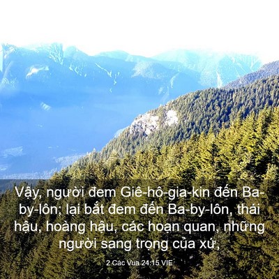 Picture 03 - 2 Các Vua 24:15 VIE - Vậy, người đem Giê-hô-gia-kin đến - Bible Verse Picture