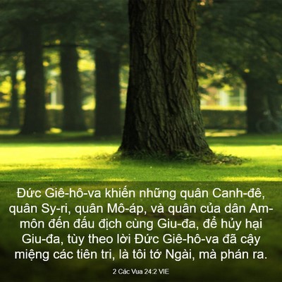 Picture 03 - 2 Các Vua 24:2 VIE - Đức Giê-hô-va khiến những quân - Bible Verse Picture