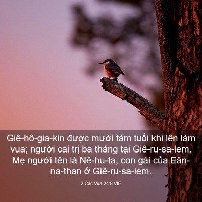 Picture 03 - 2 Các Vua 24:8 VIE - Giê-hô-gia-kin được mười tám tuổi khi - Bible Verse Picture