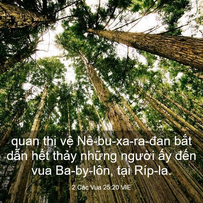 Picture 03 - 2 Các Vua 25:20 VIE - quan thị vệ Nê-bu-xa-ra-đan bắt dẫn - Bible Verse Picture