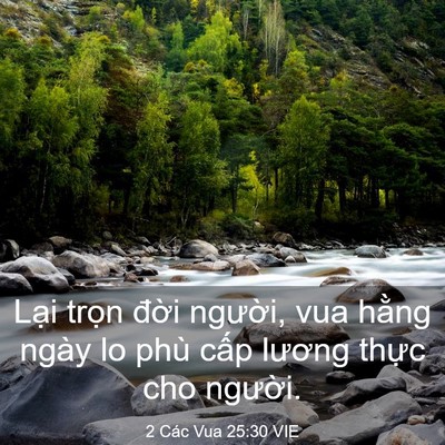 Picture 03 - 2 Các Vua 25:30 VIE - Lại trọn đời người, vua hằng ngày lo - Bible Verse Picture