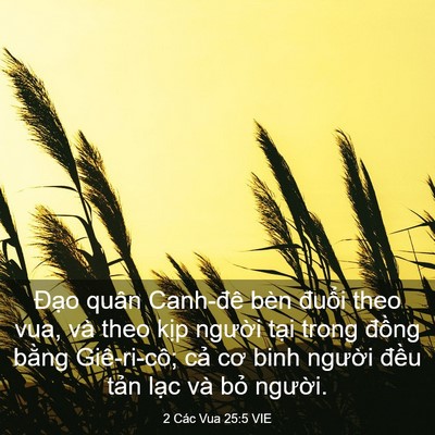 Picture 03 - 2 Các Vua 25:5 VIE - Đạo quân Canh-đê bèn đuổi theo vua, và - Bible Verse Picture