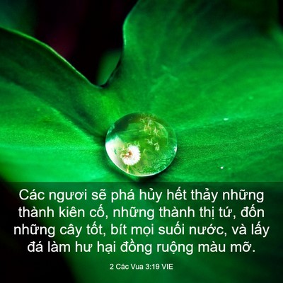 Picture 03 - 2 Các Vua 3:19 VIE - Các ngươi sẽ phá hủy hết thảy những - Bible Verse Picture