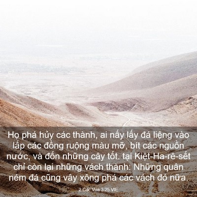 Picture 03 - 2 Các Vua 3:25 VIE - Họ phá hủy các thành, ai nấy lấy đá - Bible Verse Picture