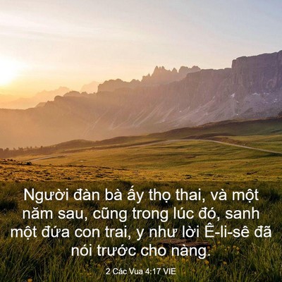 Picture 03 - 2 Các Vua 4:17 VIE - Người đàn bà ấy thọ thai, và một - Bible Verse Picture