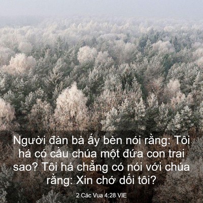 Picture 03 - 2 Các Vua 4:28 VIE - Người đàn bà ấy bèn nói rằng: Tôi - Bible Verse Picture