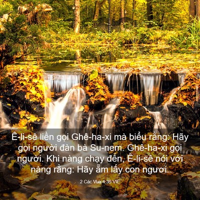 Picture 03 - 2 Các Vua 4:36 VIE - Ê-li-sê liền gọi Ghê-ha-xi mà biểu - Bible Verse Picture