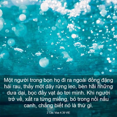Picture 03 - 2 Các Vua 4:39 VIE - Một người trong bọn họ đi ra ngoài - Bible Verse Picture