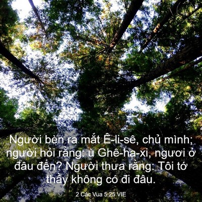 Picture 03 - 2 Các Vua 5:25 VIE - Người bèn ra mắt Ê-li-sê, chủ mình; - Bible Verse Picture