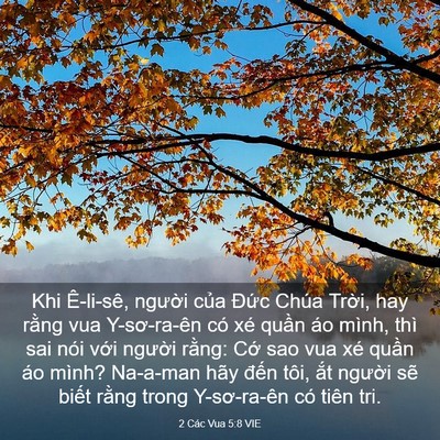 Picture 03 - 2 Các Vua 5:8 VIE - Khi Ê-li-sê, người của Đức Chúa - Bible Verse Picture