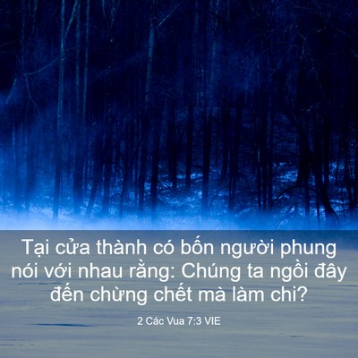 Picture 03 - 2 Các Vua 7:3 VIE - Tại cửa thành có bốn người phung nói - Bible Verse Picture