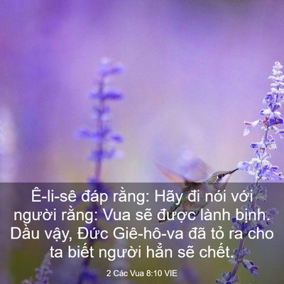 Picture 03 - 2 Các Vua 8:10 VIE - Ê-li-sê đáp rằng: Hãy đi nói với - Bible Verse Picture