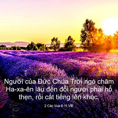 Picture 03 - 2 Các Vua 8:11 VIE - Người của Đức Chúa Trời ngó chăm - Bible Verse Picture