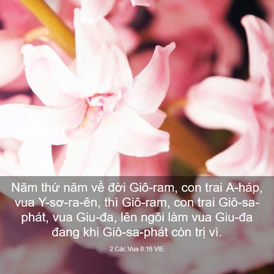 Picture 03 - 2 Các Vua 8:16 VIE - Năm thứ năm về đời Giô-ram, con trai - Bible Verse Picture
