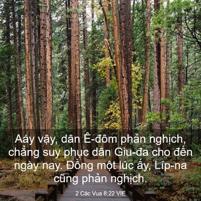 Picture 03 - 2 Các Vua 8:22 VIE - Aáy vậy, dân Ê-đôm phản nghịch, - Bible Verse Picture