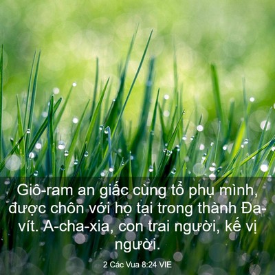Picture 03 - 2 Các Vua 8:24 VIE - Giô-ram an giấc cùng tổ phụ mình, - Bible Verse Picture