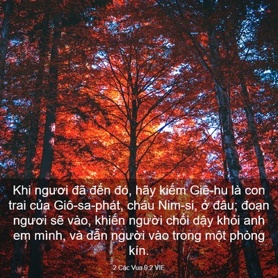 Picture 03 - 2 Các Vua 9:2 VIE - Khi ngươi đã đến đó, hãy kiếm Giê-hu - Bible Verse Picture