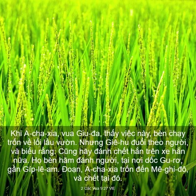 Picture 03 - 2 Các Vua 9:27 VIE - Khi A-cha-xia, vua Giu-đa, thấy việc này, - Bible Verse Picture
