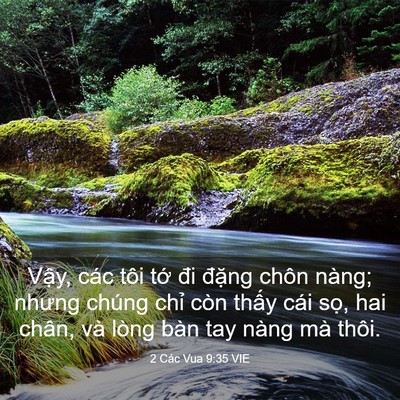 Picture 03 - 2 Các Vua 9:35 VIE - Vậy, các tôi tớ đi đặng chôn nàng; - Bible Verse Picture